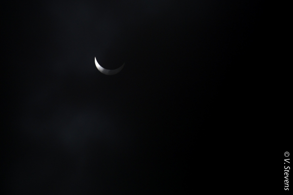 VStevens - Eclipse20-03-15 - D.jpg